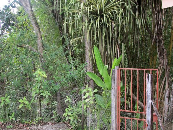 Manuel Antonio Quepos Home 963351