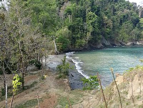 Manuel Antonio Quepos Home 963356