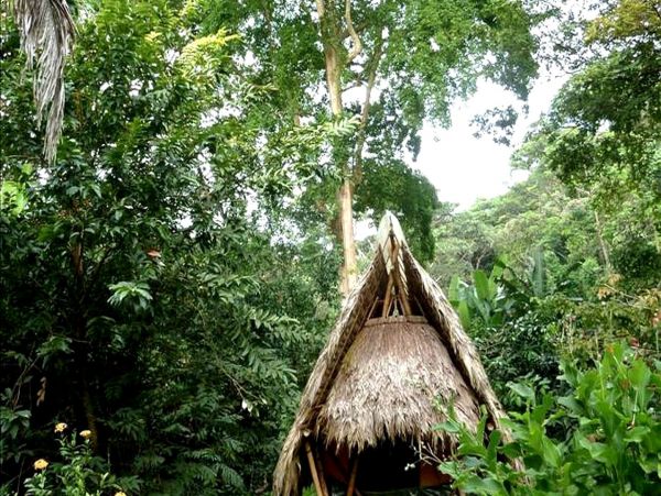 Other Cities  Costa Rica Home 963360