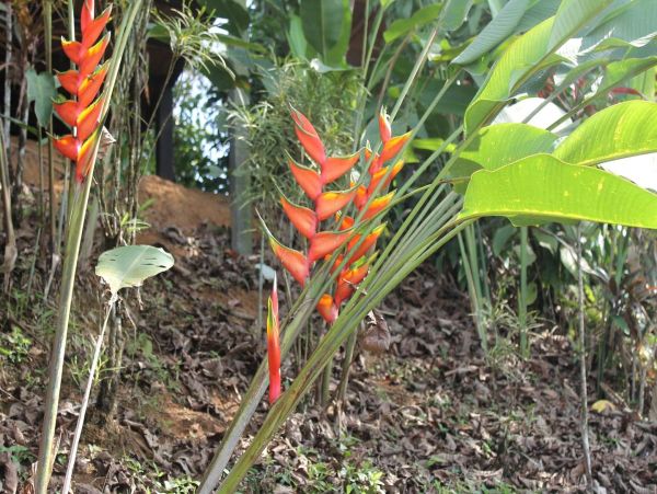 Other Cities  Costa Rica Home 963367