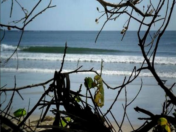 Tamarindo Home 963368