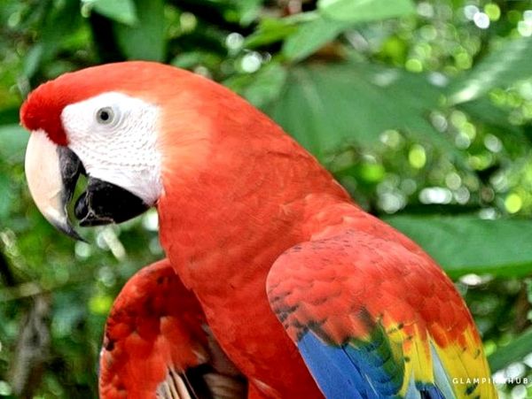 Other Cities  Costa Rica Home 963374
