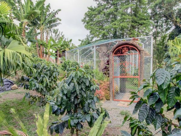 La Fortuna Volcan Arenal Home 963376