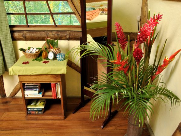 Puerto Viejo Home 963378