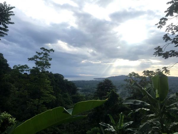 Cahuita Home 963379