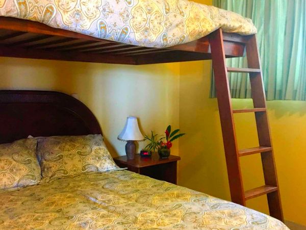 Playa Flamingo Home 963380