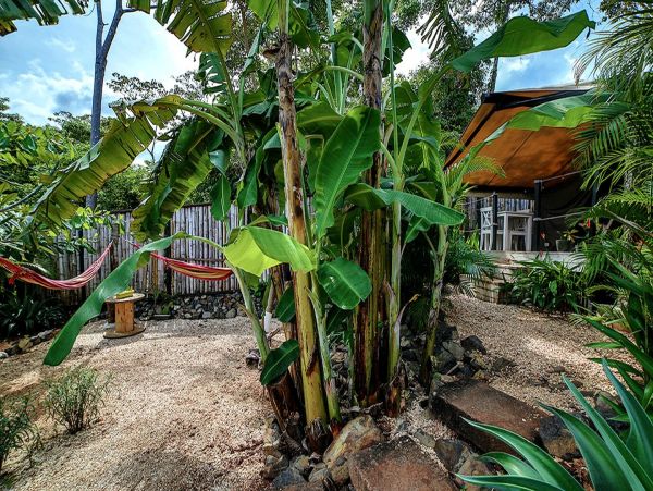 Tamarindo Home 963383