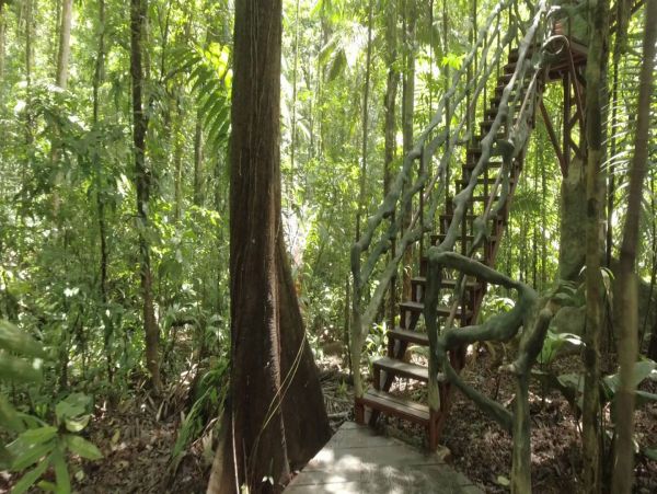 La Fortuna Volcan Arenal Home 963384