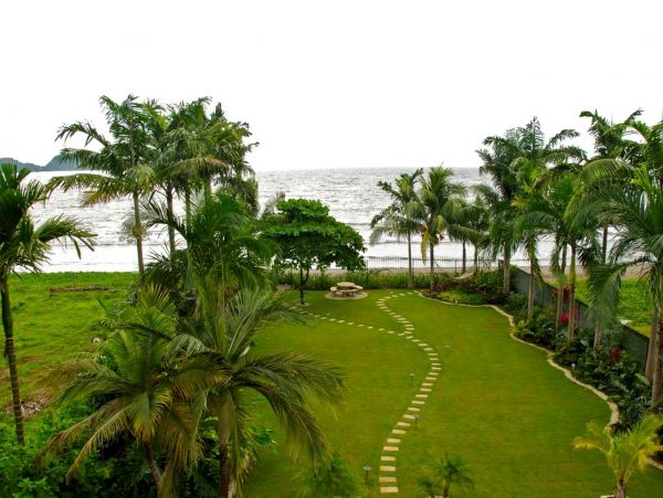 Playa Flamingo Home 963388