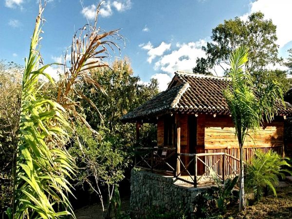 Tamarindo Home 963390