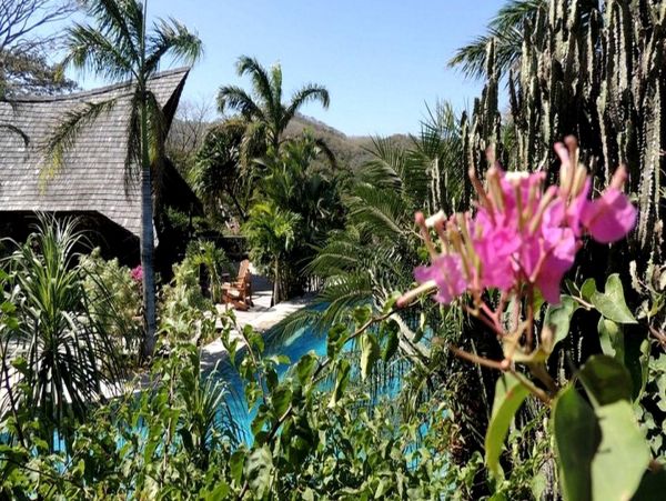 Tamarindo Home 963390
