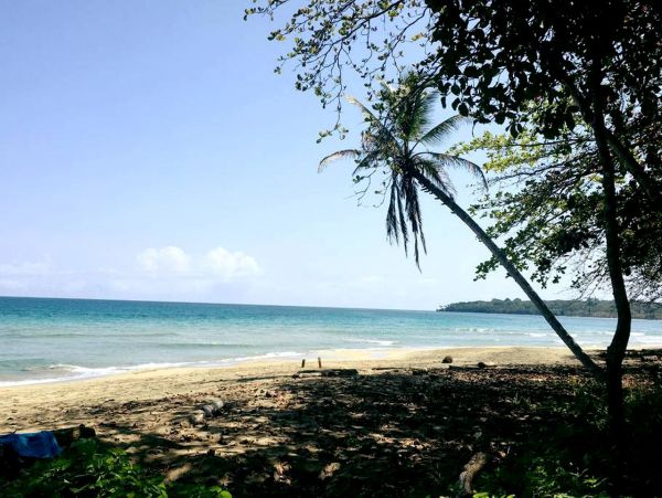 Puerto Viejo Home 963394