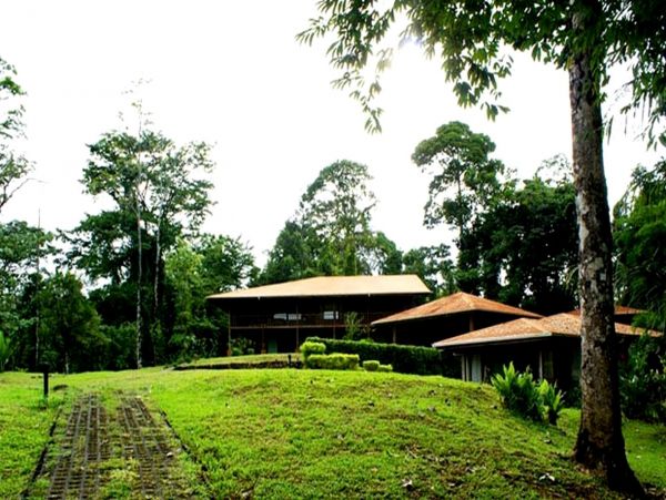 Tamarindo Home 963405