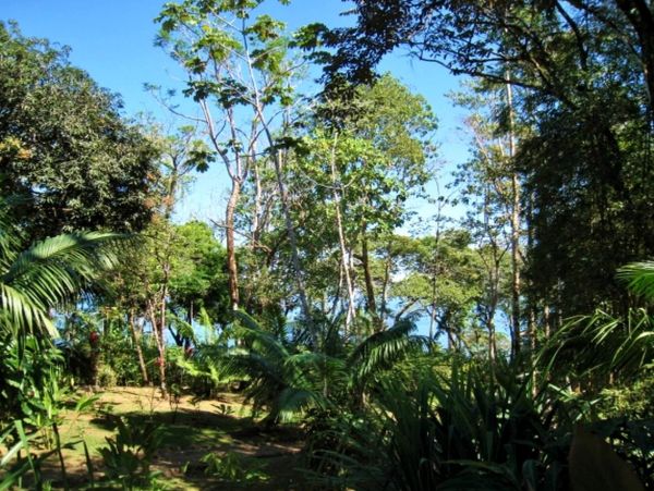 Other Cities  Costa Rica Home 963427