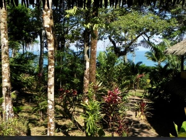 Tamarindo Home 963428