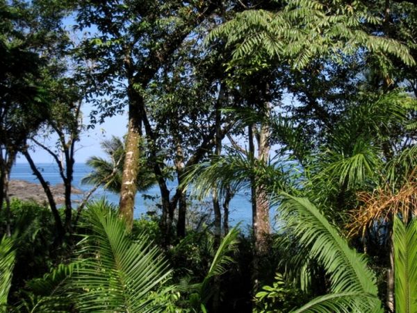 Other Cities  Costa Rica Home 963429