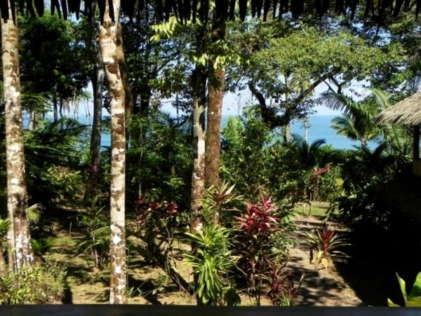 Tamarindo Home 963431