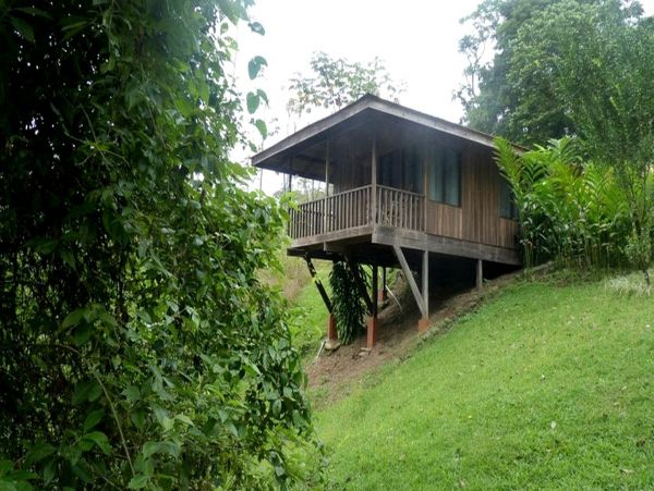 Tamarindo Home 963439