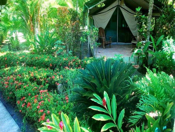 Tamarindo Home 963441