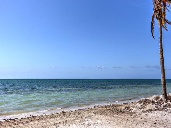 The Florida Keys Condo 963448