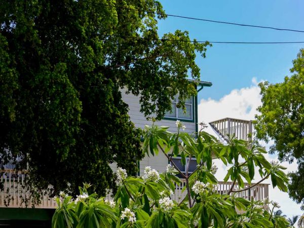 The Florida Keys Home 963450
