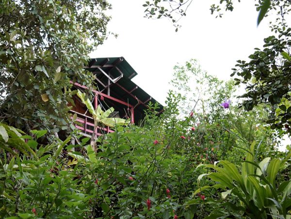 Other Cities  Costa Rica Home 963470