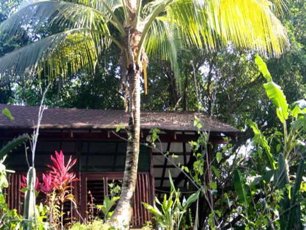 Playa Santa Teresa Home 963472