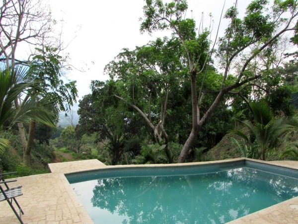 Tamarindo Home 963475