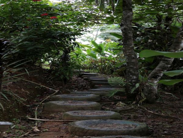 Other Cities  Costa Rica Home 963477