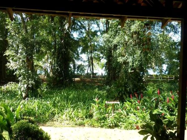 Tamarindo Home 963482