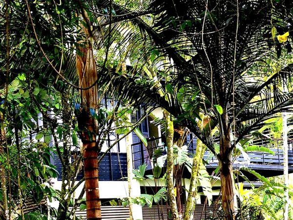 Tamarindo Home 963500