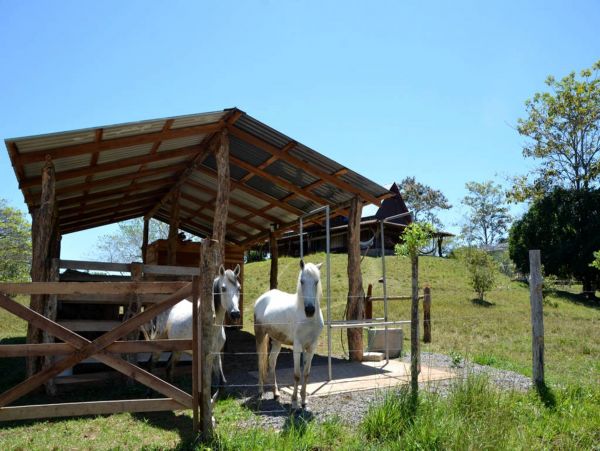 Playa Santa Teresa Home 963507