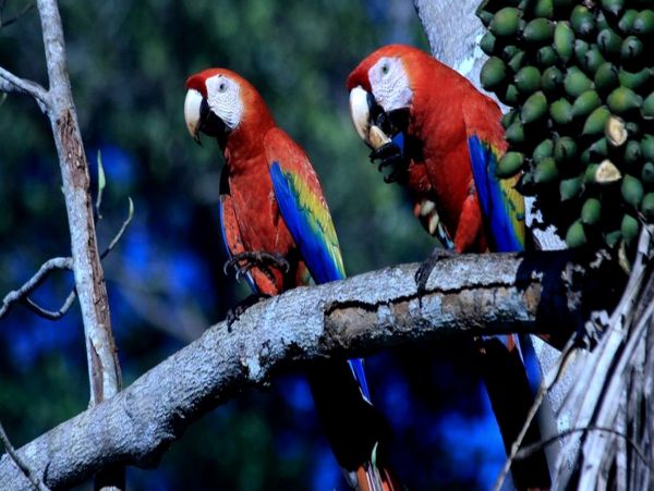 Other Cities  Costa Rica Home 963508