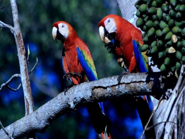Other Cities  Costa Rica Home 963514