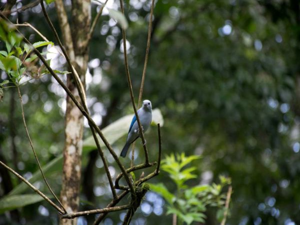 La Fortuna Volcan Arenal Home 963522