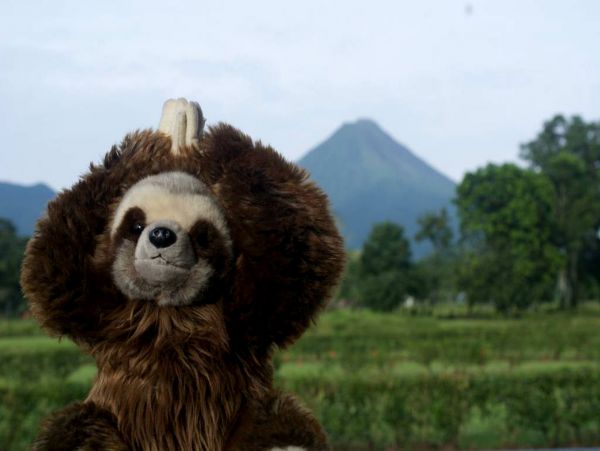 La Fortuna Volcan Arenal Home 963522