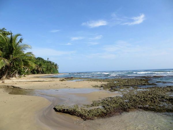 Tamarindo Home 963524