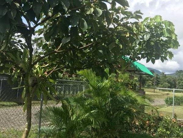 La Fortuna Volcan Arenal Home 963525