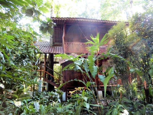 Tamarindo Home 963527