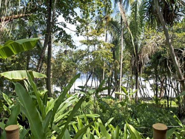 Playa Santa Teresa Home 963528