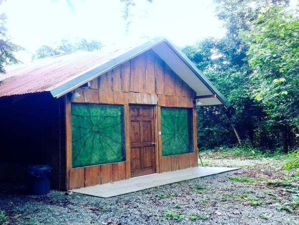 Tamarindo Home 963542