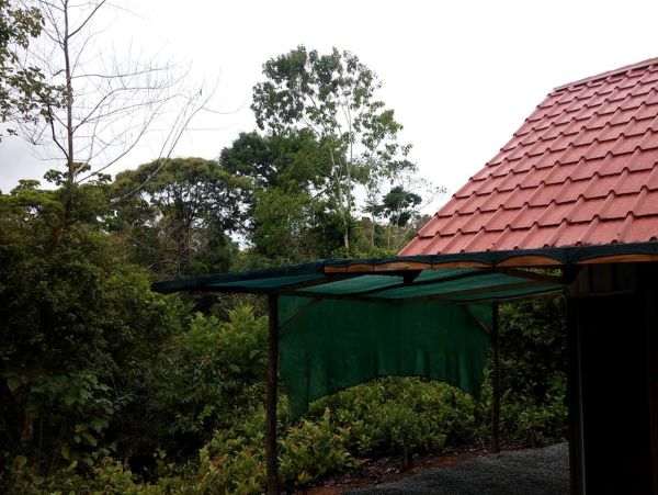 Tamarindo Home 963542