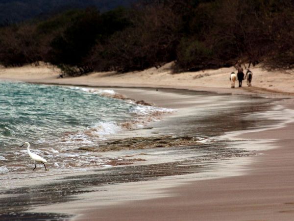Value Priced World Class Guanacaste Location.