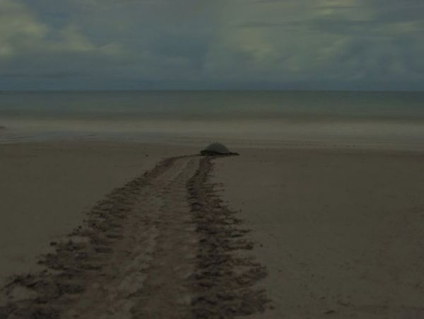 Value Priced World Class Guanacaste Location.