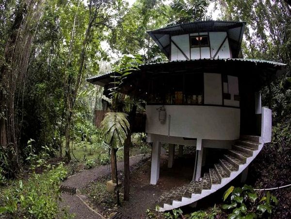 Tamarindo Home 963548