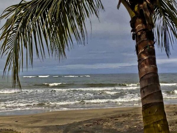 Tamarindo Home 963548