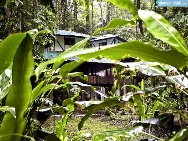 Tamarindo Home 963548