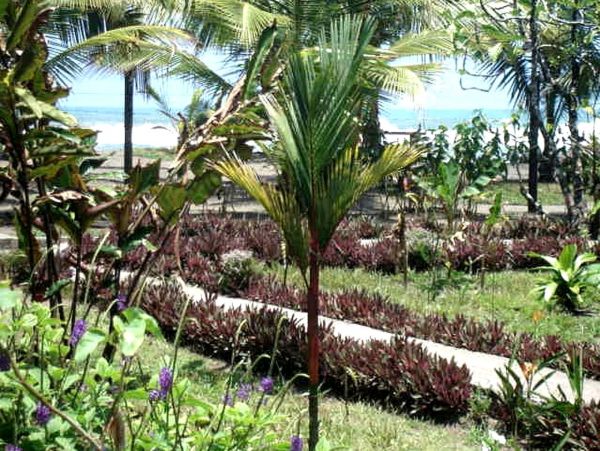 Tamarindo Home 963550