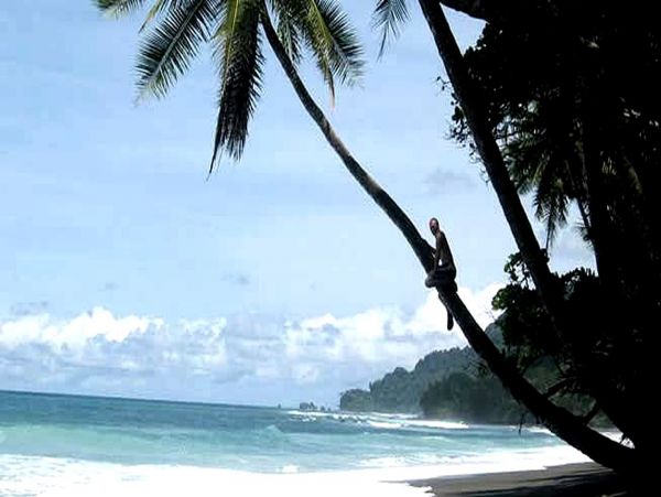 Other Cities  Costa Rica Home 963551