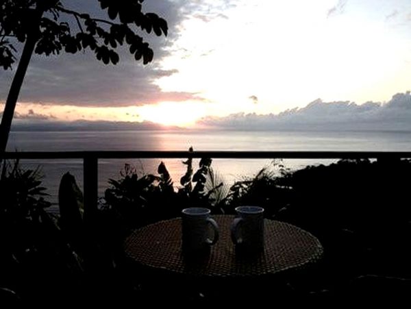 Tamarindo Home 963554